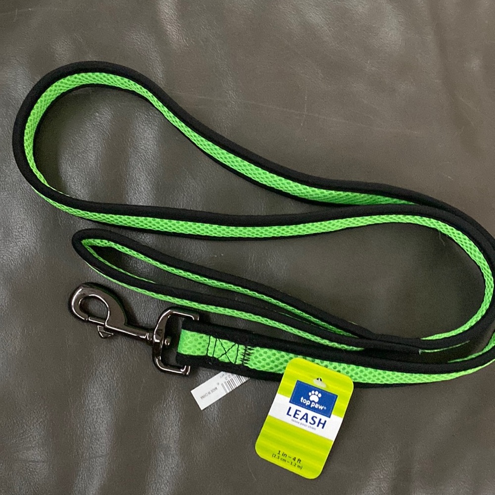 Dog Leash 1 inch 4 ft